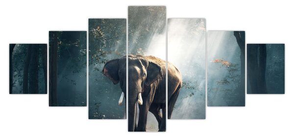 Obraz slona v džungli (210x100 cm)