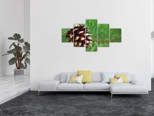 Obraz šišky (125x70 cm)