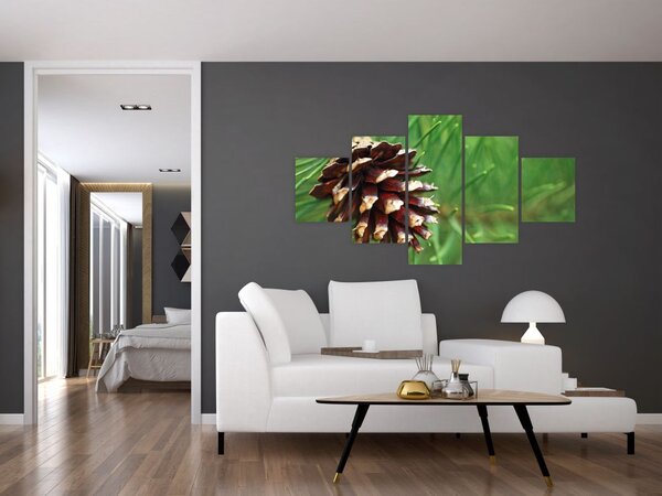 Obraz šišky (125x70 cm)