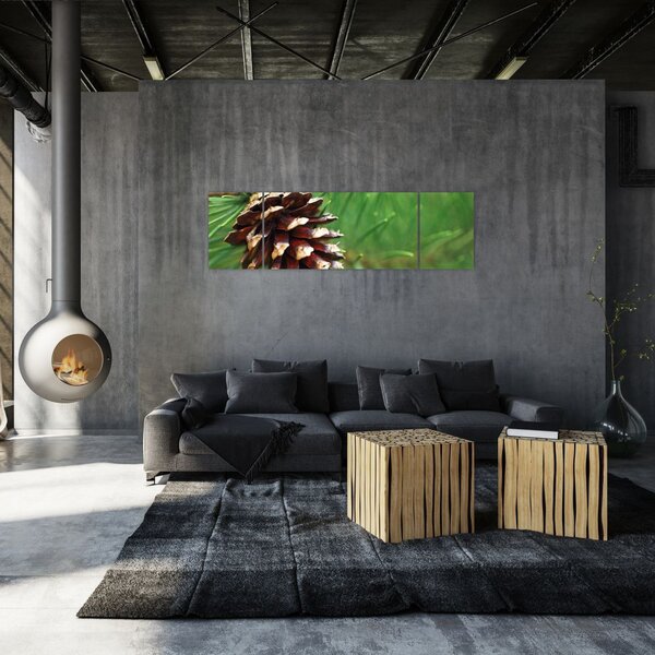Obraz šišky (170x50 cm)