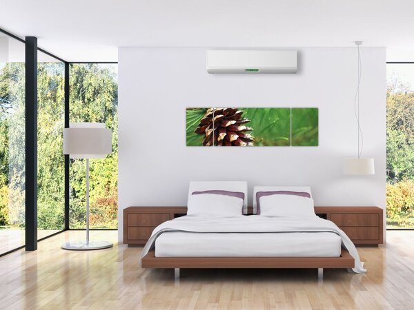 Obraz šišky (170x50 cm)