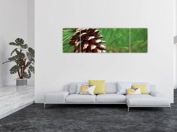 Obraz šišky (170x50 cm)