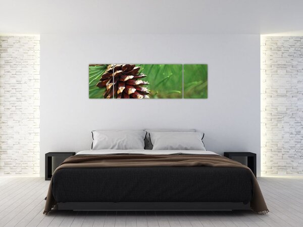 Obraz šišky (170x50 cm)