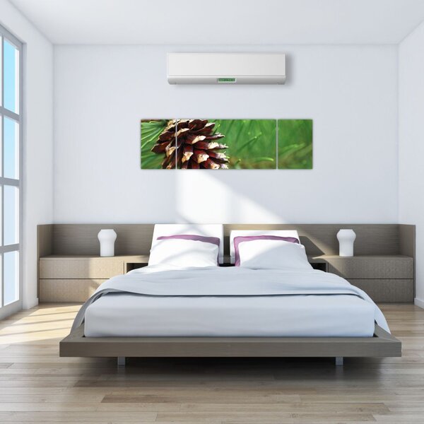 Obraz šišky (170x50 cm)