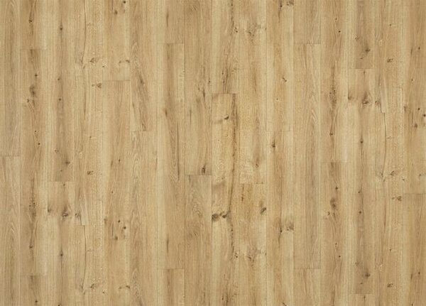 Breno PVC POLARIS Sweet Oak 661M – světlé dřevo, šíře 400 cm