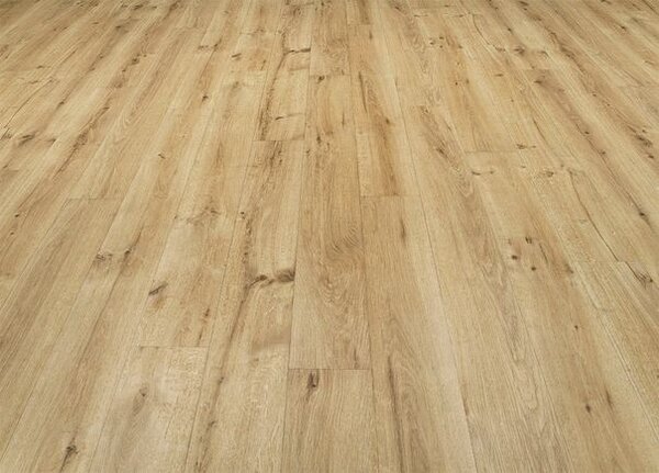 Breno PVC POLARIS Sweet Oak 661M – světlé dřevo, šíře 400 cm