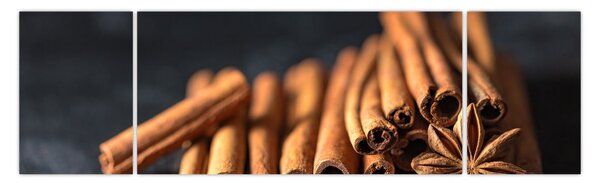 Obraz skořice (170x50 cm)