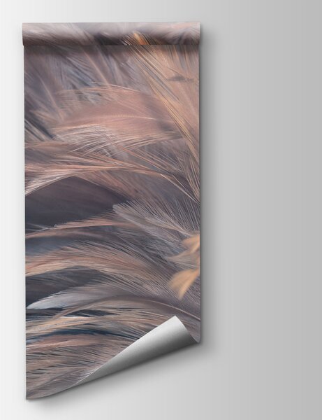 Fototapeta Měkké a jemné textury peří, Fototapety s pírky, Populární fototapety, u96992 - Tapeko.co.cz