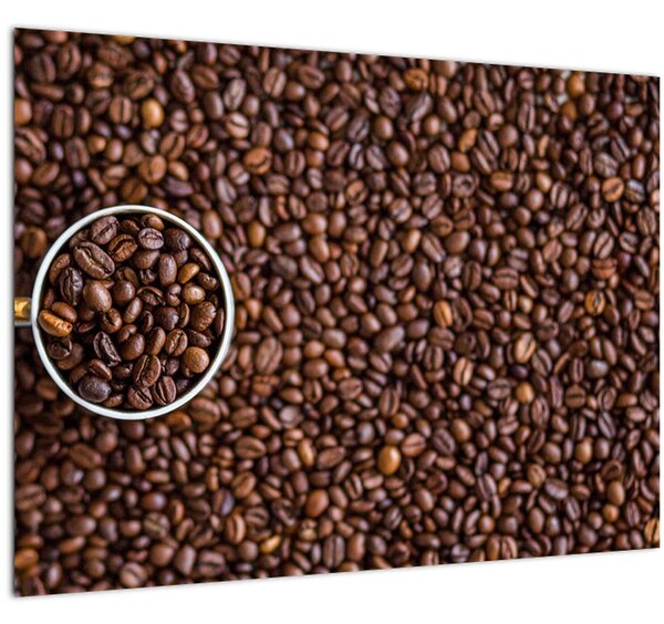 Obraz - kávové zrna (70x50 cm)