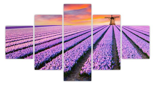 Obraz - květinová farma (125x70 cm)