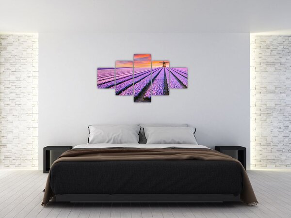 Obraz - květinová farma (125x70 cm)