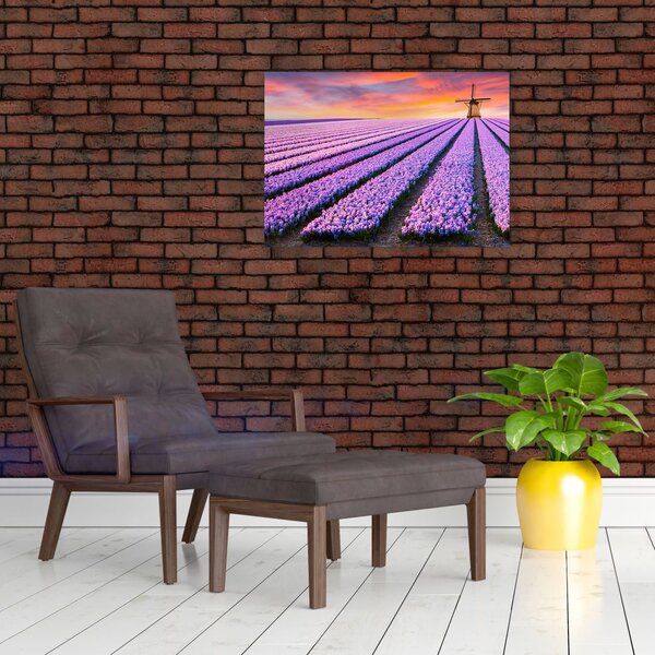 Obraz - květinová farma (70x50 cm)