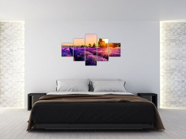 Obraz levandulového pole (125x70 cm)