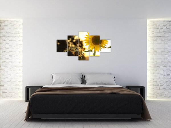 Obraz slunečnice (125x70 cm)