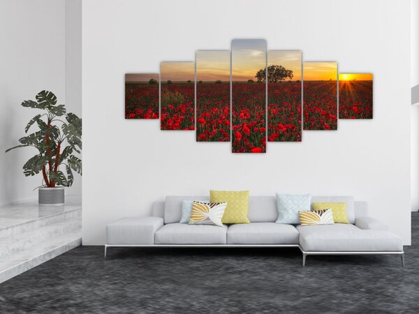 Obraz louky s vlčími máky (210x100 cm)