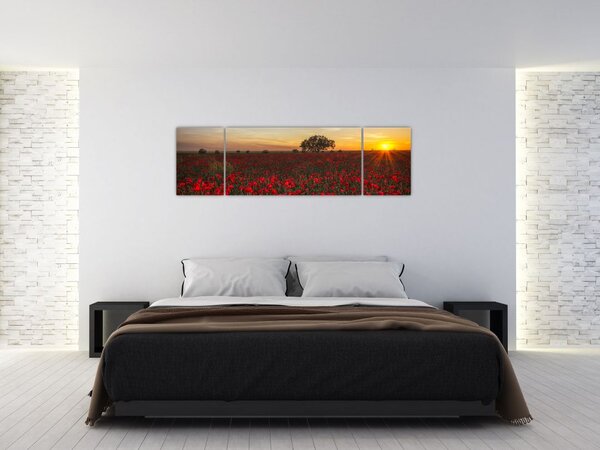 Obraz louky s vlčími máky (170x50 cm)