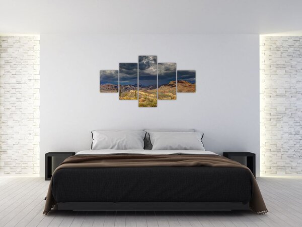 Obraz - kaktusy v přírodě (125x70 cm)