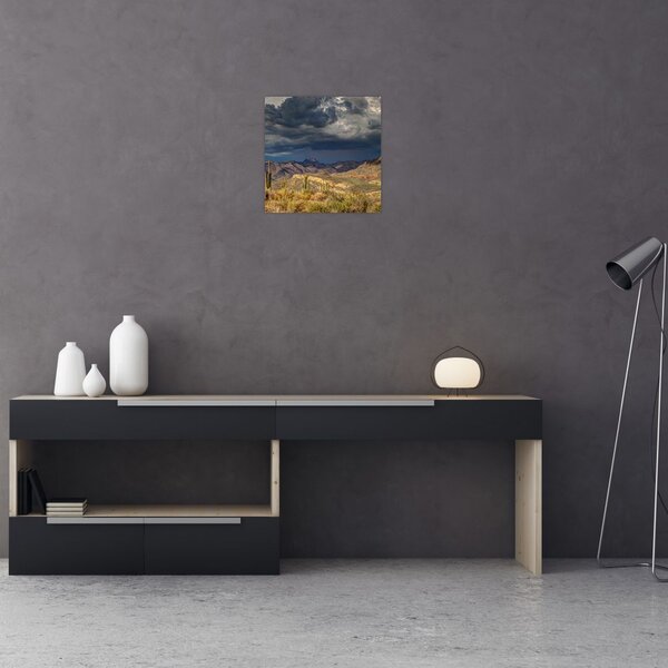 Obraz - kaktusy v přírodě (30x30 cm)