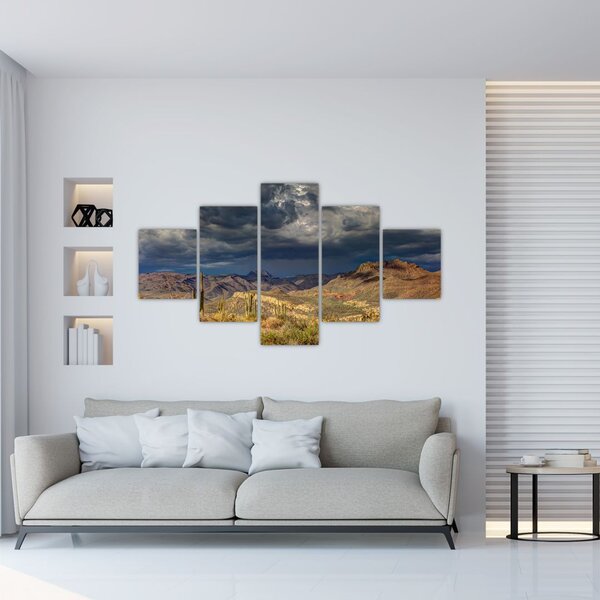 Obraz - kaktusy v přírodě (125x70 cm)