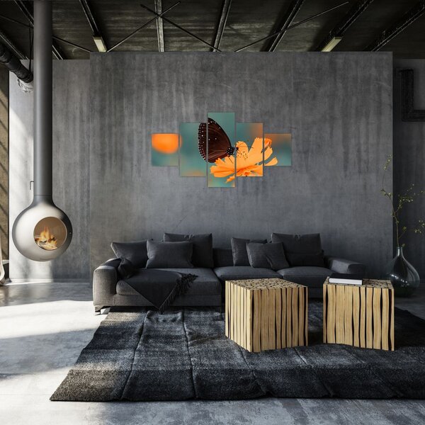 Obraz - motýl na oranžové květině (125x70 cm)