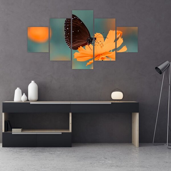 Obraz - motýl na oranžové květině (125x70 cm)