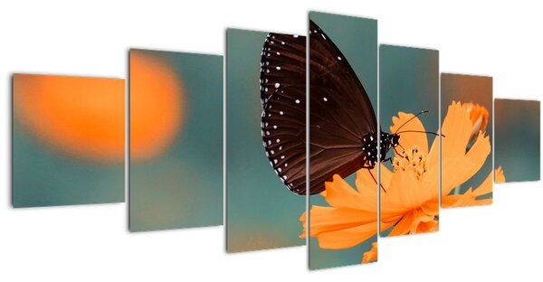 Obraz - motýl na oranžové květině (210x100 cm)