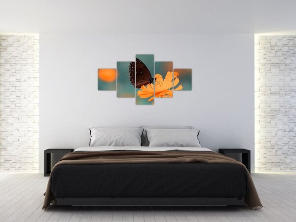 Obraz - motýl na oranžové květině (125x70 cm)