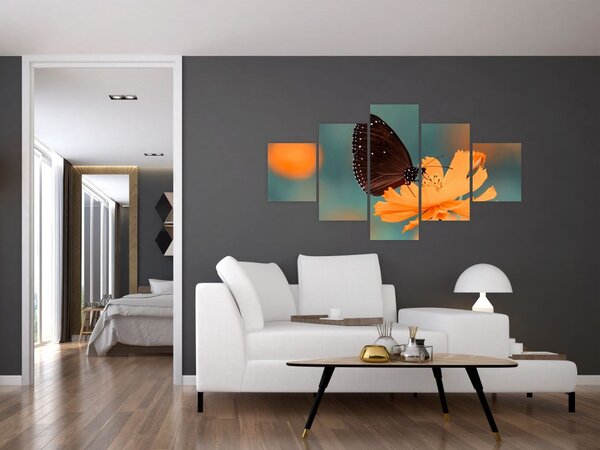 Obraz - motýl na oranžové květině (125x70 cm)