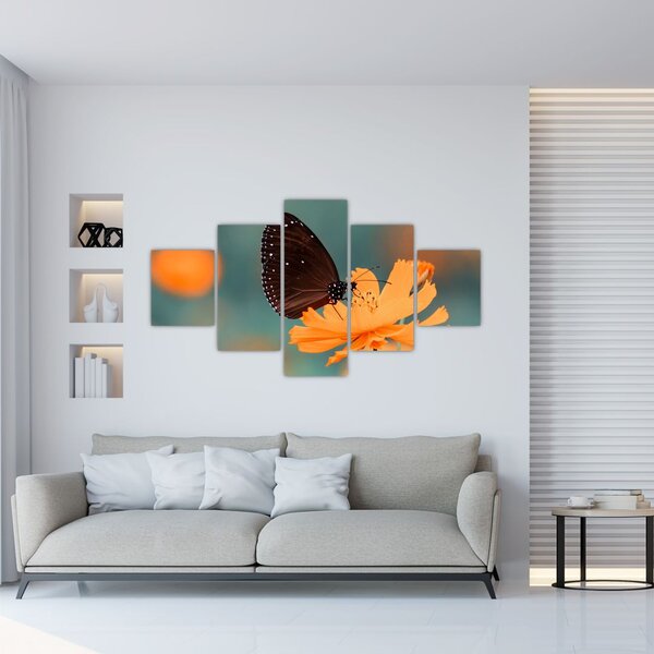 Obraz - motýl na oranžové květině (125x70 cm)