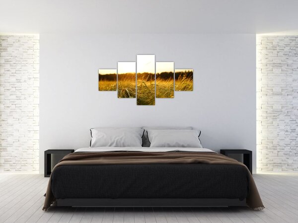 Obraz orosené trávy (125x70 cm)