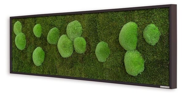 Mechový obraz z kopečkového a lesního mechu 140X40, Dřevěný rám (černý)