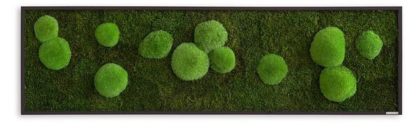 Mechový obraz z kopečkového a lesního mechu 140X40, Dřevěný rám (černý)