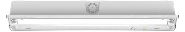LEDVANCE nouzové LED svítidlo BULKHEAD 1,3 W 220-240 V 5700 K 3 h IP65