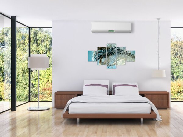 Obraz pírka (125x70 cm)