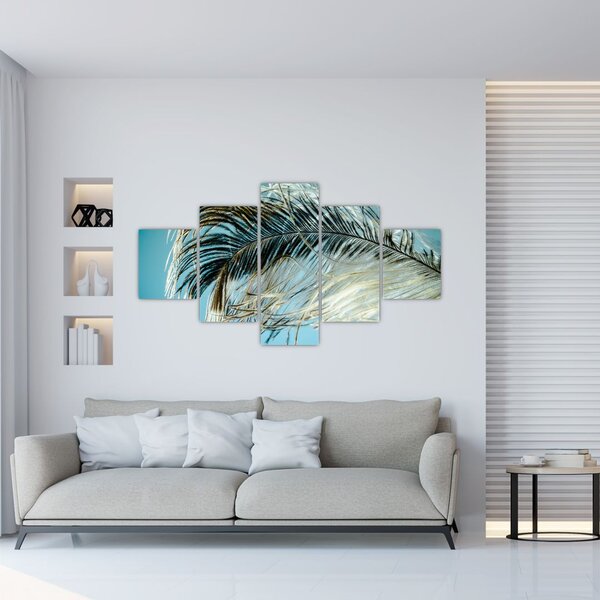 Obraz pírka (125x70 cm)