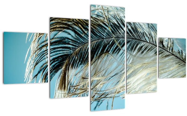 Obraz pírka (125x70 cm)