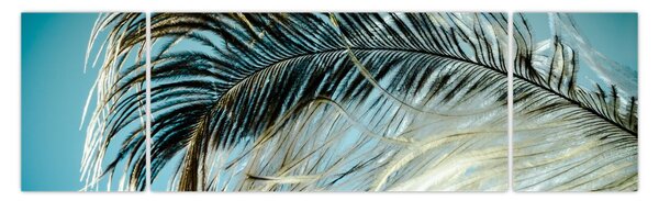 Obraz pírka (170x50 cm)