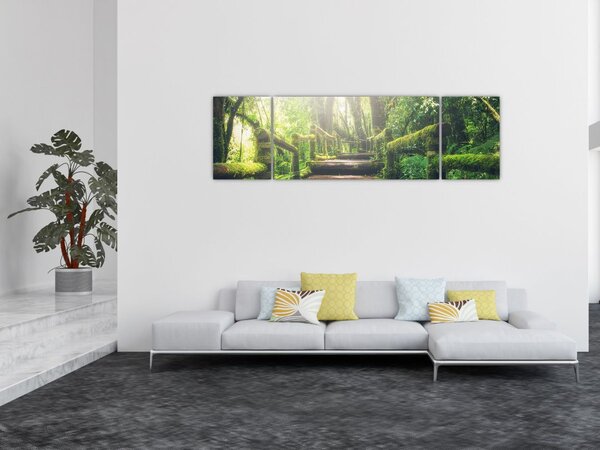 Obraz - dřevěné schody v lese (170x50 cm)