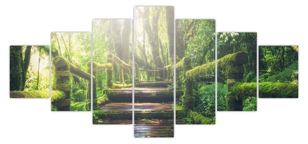 Obraz - dřevěné schody v lese (210x100 cm)