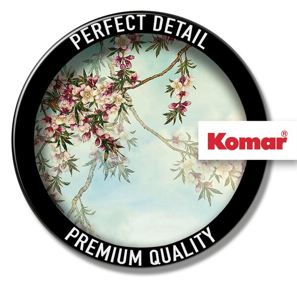 FOTOTAPETA velikost: 368/254 cm Komar - Online Only tapety, Online Only