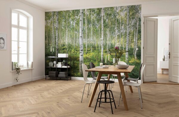 FOTOTAPETA velikost: 368/254 cm Komar - Online Only tapety, Online Only