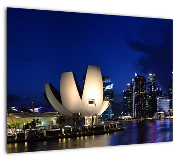 Obraz nočního Singapouru (70x50 cm)