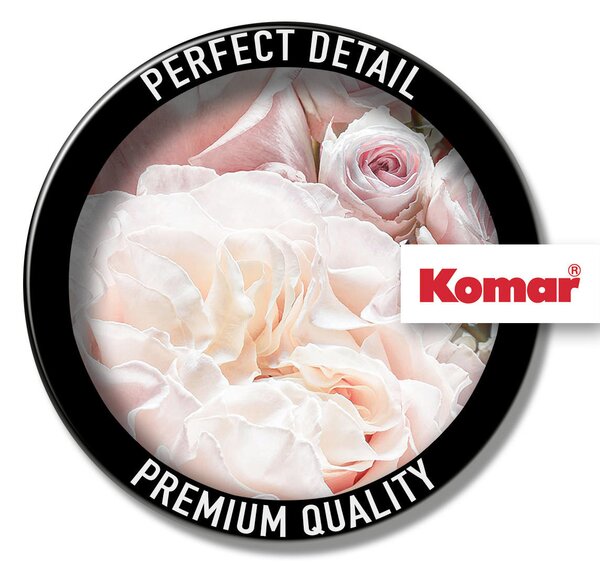 FOTOTAPETA velikost: 368/254 cm Komar - Online Only tapety, Online Only