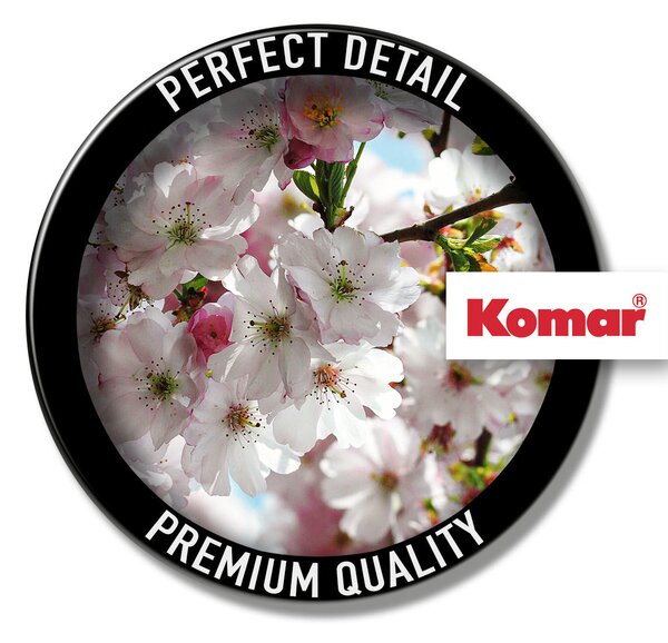 FOTOTAPETA velikost: 368/254 cm Komar - Online Only tapety, Online Only