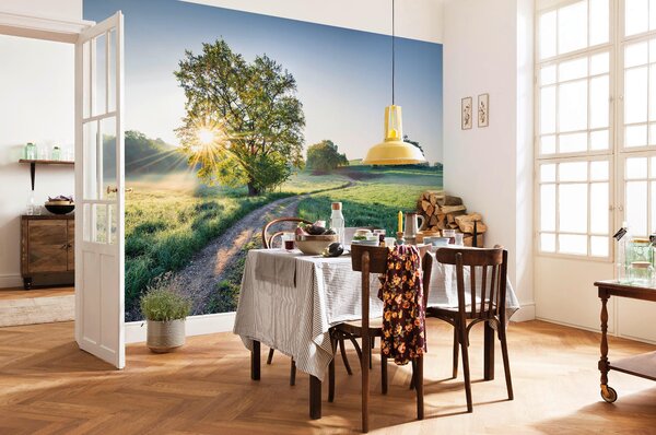 FOTOTAPETA velikost: 368/254 cm Komar - Online Only tapety, Online Only