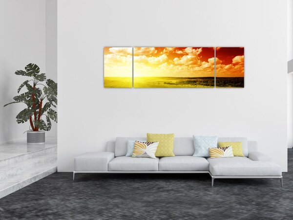 Obraz letní louky (170x50 cm)