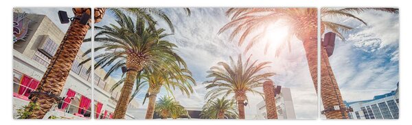 Obraz - palmy s bazénem (170x50 cm)