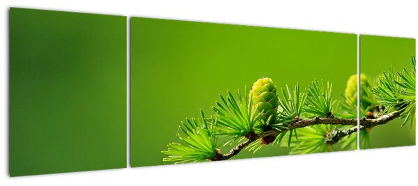Obraz zelené šišky (170x50 cm)