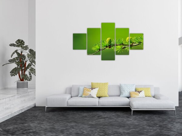 Obraz zelené šišky (125x70 cm)