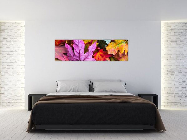 Obraz - podzimní listy (170x50 cm)